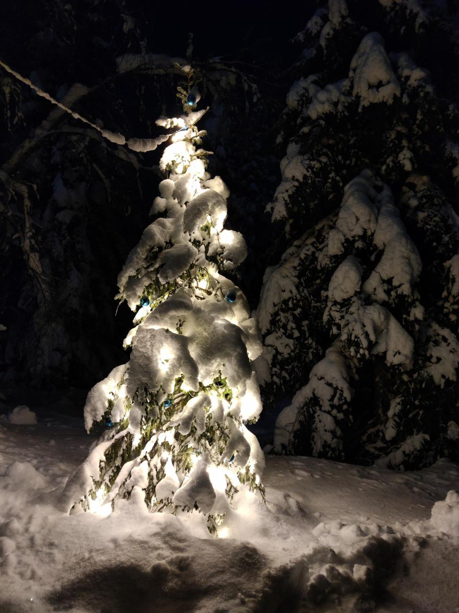 Saremoekki Villa Kittilä Kültér fotó